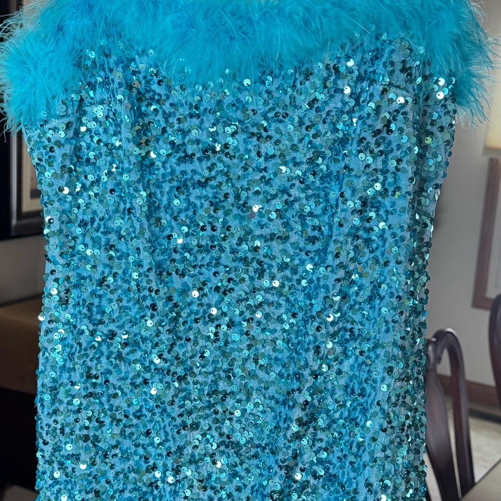 Blue Sequin Feather Trim Dress